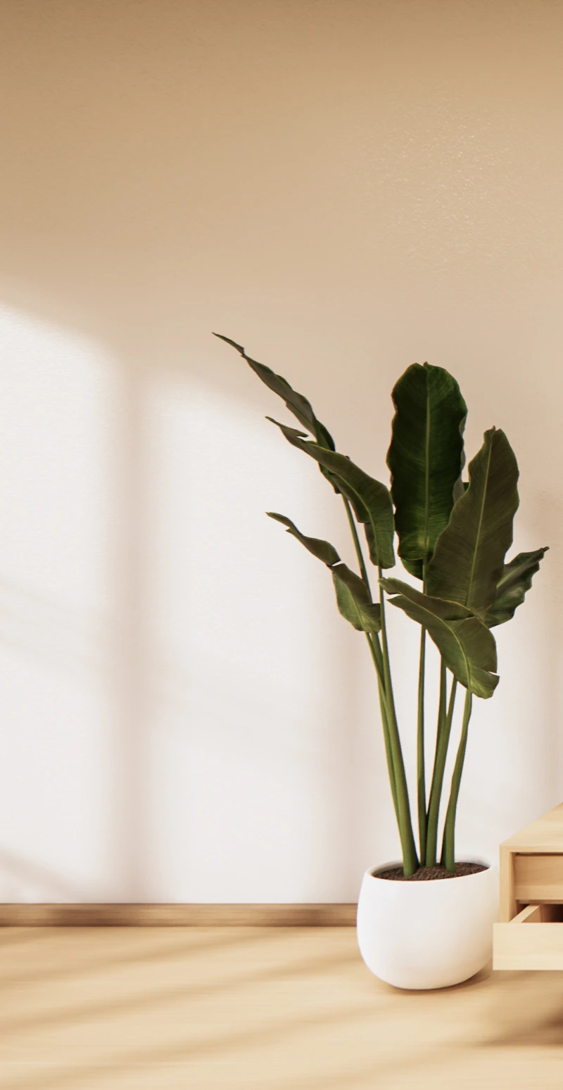 Image aménagement interieur