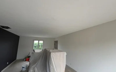 Ratissage des murs et peinture complète murs/plafonds à Valleiry